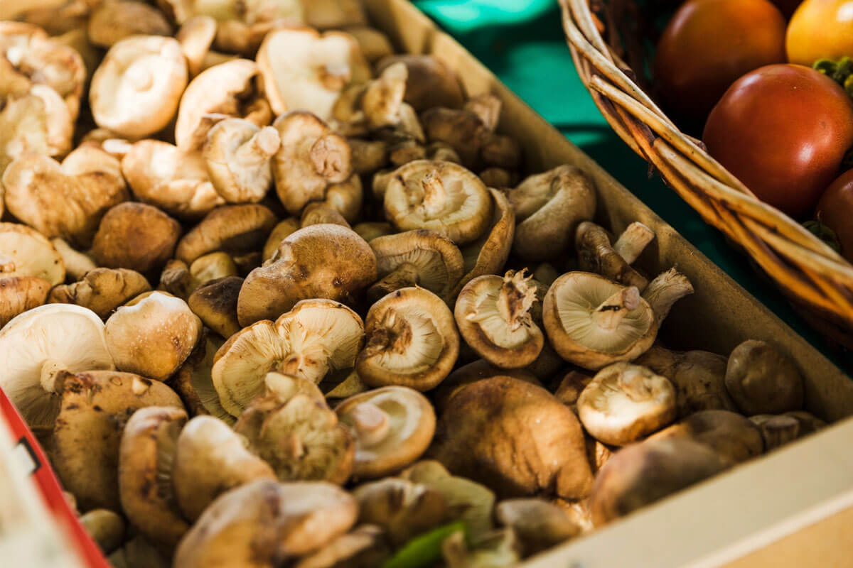 distribuidor-productos-alimenticios-agrosurimport_23