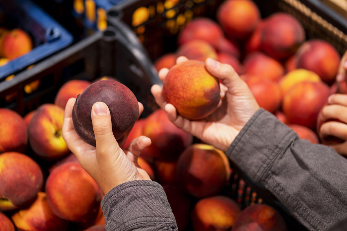 distribuidor-productos-alimenticios-agrosurimport_24