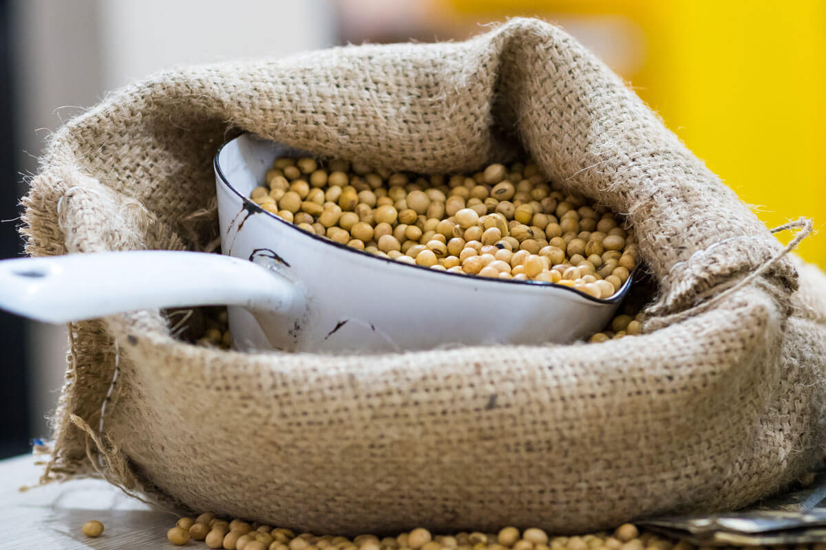 distribuidor-productos-alimenticios-agrosurimport_27